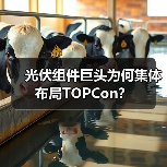 光伏组件巨头为何集体布局TOPCon? 光伏组件巨头为何集体布局TOPCon?