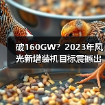 破160GW？2023年风光新增装机目标震撼出炉！