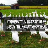 中国第二大镍钴矿试产成功 首批精矿粉产出缓解依赖 中国第二大镍钴矿试产成功 首批精矿粉产出缓解依赖