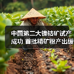 中国第二大镍钴矿试产成功 首批精矿粉产出缓解依赖 中国第二大镍钴矿试产成功 首批精矿粉产出缓解依赖
