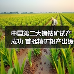 中国第二大镍钴矿试产成功 首批精矿粉产出缓解依赖 中国第二大镍钴矿试产成功 首批精矿粉产出缓解依赖
