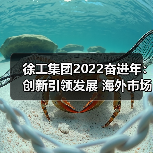 徐工集团2022奋进年:创新引领发展 海外市场再扩 徐工集团2022奋进年:创新引领发展 海外市场再扩