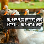 科技巨头竞相布局能源数字化:智慧矿山成新战场 科技巨头竞相布局能源数字化:智慧矿山成新战场