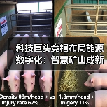 科技巨头竞相布局能源数字化:智慧矿山成新战场 科技巨头竞相布局能源数字化:智慧矿山成新战场