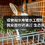 观音阁水库输水工程移民安置终验通过 生态民生双重保障 观音阁水库输水工程移民安置终验通过 生态民生双重保障