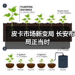 皮卡市场新变局 长安布局正当时 皮卡市场新变局 长安布局正当时