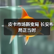 皮卡市场新变局 长安布局正当时 皮卡市场新变局 长安布局正当时