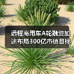 远程商用车A轮融资加速布局300亿市值目标 远程商用车A轮融资加速布局300亿市值目标