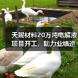 天赐材料20万吨电解液项目开工,助力业绩逆势增长 天赐材料20万吨电解液项目开工,助力业绩逆势增长