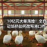 10亿元大单落地!全自动场桥如何改写港口作业? 10亿元大单落地!全自动场桥如何改写港口作业?