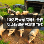 10亿元大单落地!全自动场桥如何改写港口作业? 10亿元大单落地!全自动场桥如何改写港口作业?