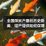全国煤炭产量创历史新高,增产增供如何保障冬季需求? 全国煤炭产量创历史新高,增产增供如何保障冬季需求?