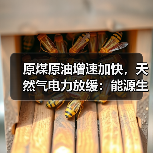 原煤原油增速加快,天然气电力放缓:能源生产最新数据解读 原煤原油增速加快,天然气电力放缓:能源生产最新数据解读