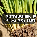 原煤原油增速加快,天然气电力放缓:能源生产最新数据解读 原煤原油增速加快,天然气电力放缓:能源生产最新数据解读