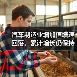汽车制造业增加值增速回落,累计增长仍保持韧性 汽车制造业增加值增速回落,累计增长仍保持韧性