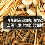汽车制造业增加值增速回落,累计增长仍保持韧性 汽车制造业增加值增速回落,累计增长仍保持韧性
