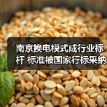 南京换电模式成行业标杆 标准被国家行标采纳