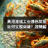 黄河流域工业绿色发展如何实现突破？政策解读