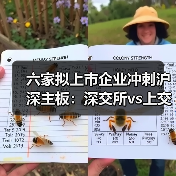 六家拟上市企业冲刺沪深主板:深交所vs上交所布局 六家拟上市企业冲刺沪深主板:深交所vs上交所布局