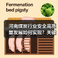 河南煤炭行业安全高质量发展如何实现?关键举措解析 河南煤炭行业安全高质量发展如何实现?关键举措解析
