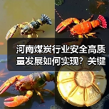 河南煤炭行业安全高质量发展如何实现?关键举措解析 河南煤炭行业安全高质量发展如何实现?关键举措解析