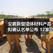 安徽新型墙体材料产品拟确认名单公布 12家企业入选 安徽新型墙体材料产品拟确认名单公布 12家企业入选