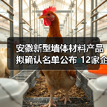 安徽新型墙体材料产品拟确认名单公布 12家企业入选 安徽新型墙体材料产品拟确认名单公布 12家企业入选