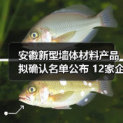安徽新型墙体材料产品拟确认名单公布 12家企业入选 安徽新型墙体材料产品拟确认名单公布 12家企业入选