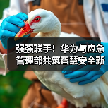 强强联手!华为与应急管理部共筑智慧安全新防线 强强联手!华为与应急管理部共筑智慧安全新防线