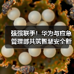 强强联手!华为与应急管理部共筑智慧安全新防线 强强联手!华为与应急管理部共筑智慧安全新防线