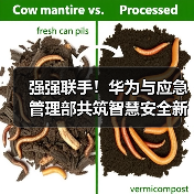 强强联手!华为与应急管理部共筑智慧安全新防线 强强联手!华为与应急管理部共筑智慧安全新防线