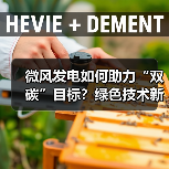 微风发电如何助力“双碳”目标?绿色技术新引擎 微风发电如何助力“双碳”目标?绿色技术新引擎