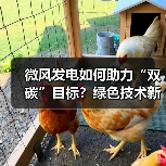 微风发电如何助力“双碳”目标?绿色技术新引擎 微风发电如何助力“双碳”目标?绿色技术新引擎