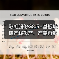 彩虹股份G8.5+基板玻璃产线投产,产能再攀高峰 彩虹股份G8.5+基板玻璃产线投产,产能再攀高峰