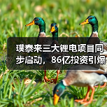 璞泰来三大锂电项目同步启动，86亿投资引爆产业链