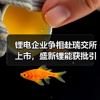 锂电企业争相赴瑞交所上市,盛新锂能获批引关注 锂电企业争相赴瑞交所上市,盛新锂能获批引关注