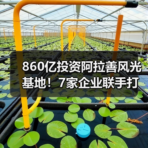 860亿投资阿拉善风光基地!7家企业联手打造清洁能源新标杆 860亿投资阿拉善风光基地!7家企业联手打造清洁能源新标杆