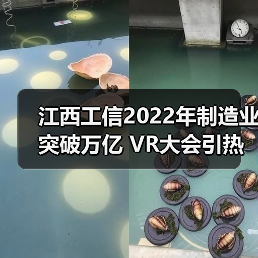 江西工信2022年制造业突破万亿 VR大会引热议 江西工信2022年制造业突破万亿 VR大会引热议