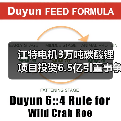 江特电机3万吨碳酸锂项目投资6.5亿引董事争议