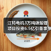 江特电机3万吨碳酸锂项目投资6.5亿引董事争议