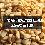 南阳市强链壮群推动工业高质量发展 南阳市强链壮群推动工业高质量发展