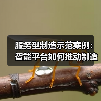 服务型制造示范案例:智能平台如何推动制造升级? 服务型制造示范案例:智能平台如何推动制造升级?