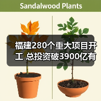 福建280个重大项目开工 总投资破3900亿有何亮点？