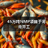 45万吨NMP项目于河南开工 45万吨NMP项目于河南开工