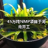 45万吨NMP项目于河南开工 45万吨NMP项目于河南开工