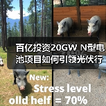 百亿投资20GW N型电池项目如何引领光伏行业? 百亿投资20GW N型电池项目如何引领光伏行业?