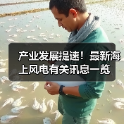 产业发展提速!最新海上风电有关讯息一览 产业发展提速!最新海上风电有关讯息一览