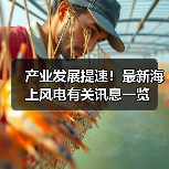产业发展提速!最新海上风电有关讯息一览 产业发展提速!最新海上风电有关讯息一览