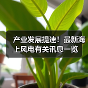 产业发展提速!最新海上风电有关讯息一览 产业发展提速!最新海上风电有关讯息一览