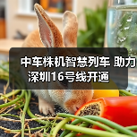 中车株机智慧列车 助力深圳16号线开通 中车株机智慧列车 助力深圳16号线开通
